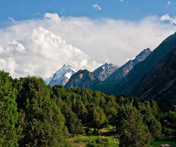 activity_detail_image