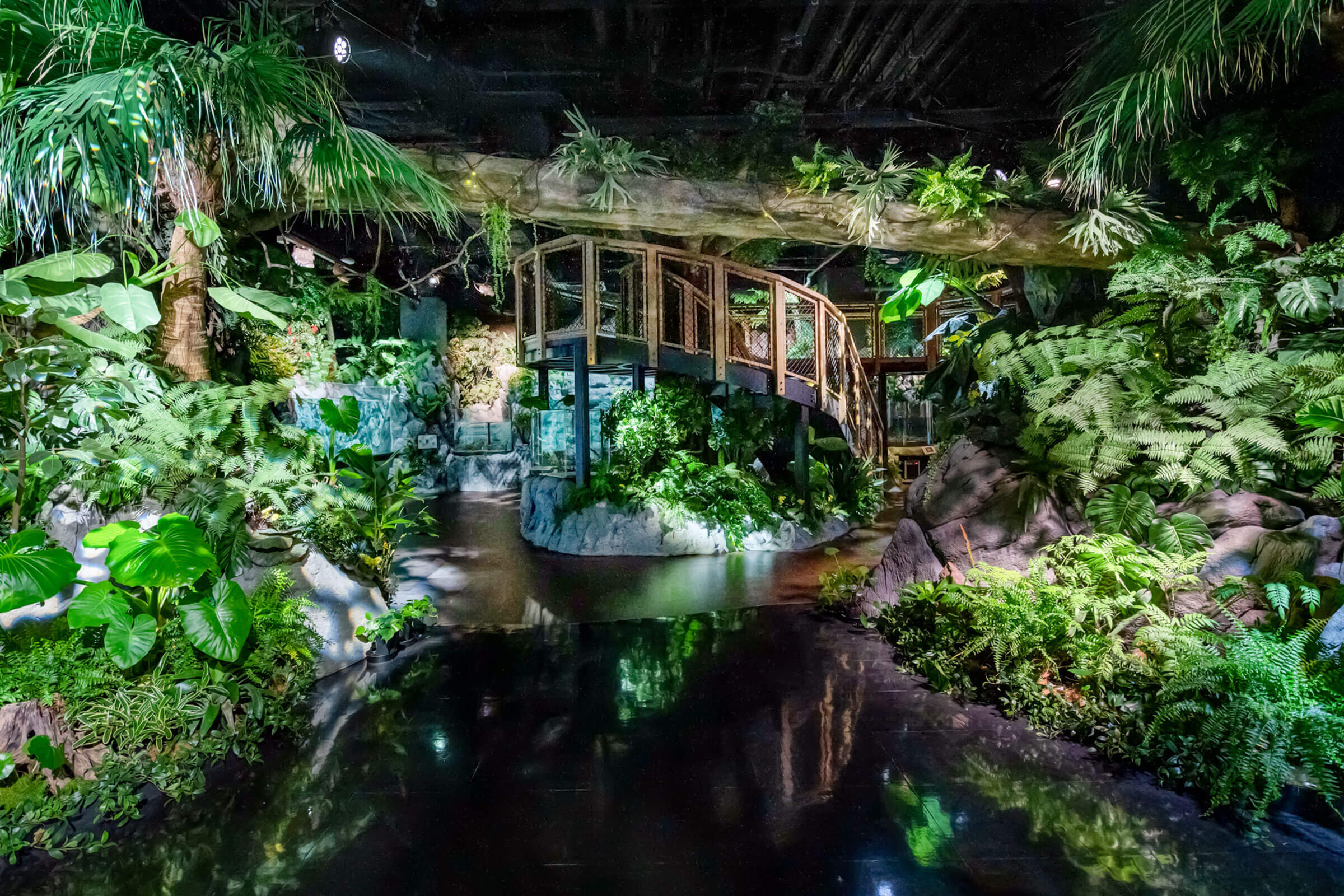 오키나와 DMM 카리유시 수족관 입장권 (아이스크림 1개 증정)