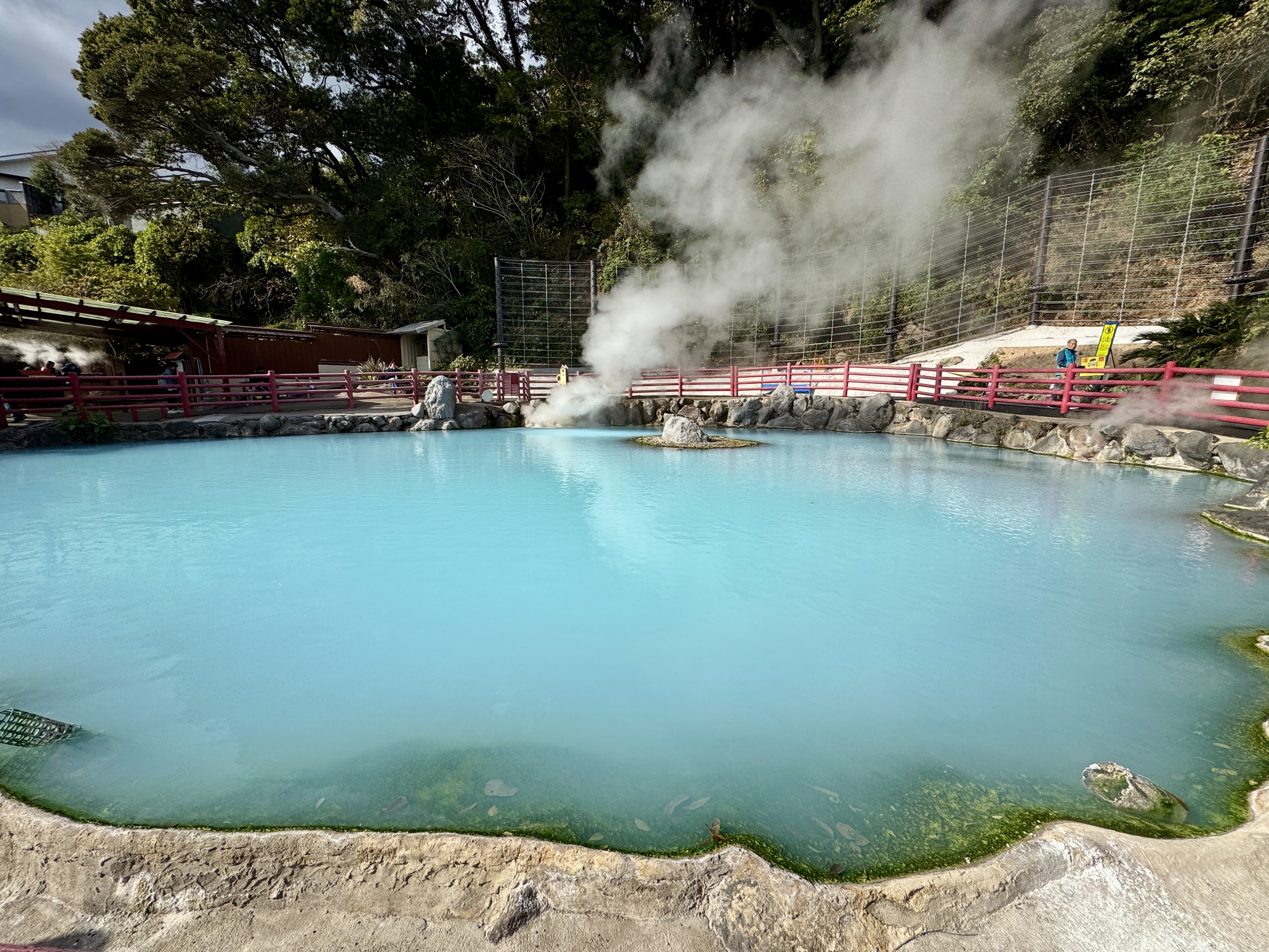 후쿠오카 출발: 다자이후 & 히타 & 유후인 일일 투어