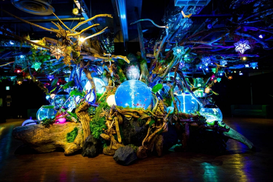 Nara Ikimono Museum Admission Ticket