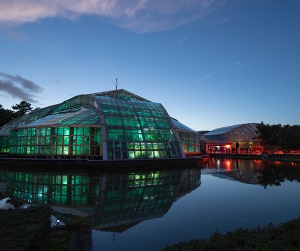 activity_detail_image