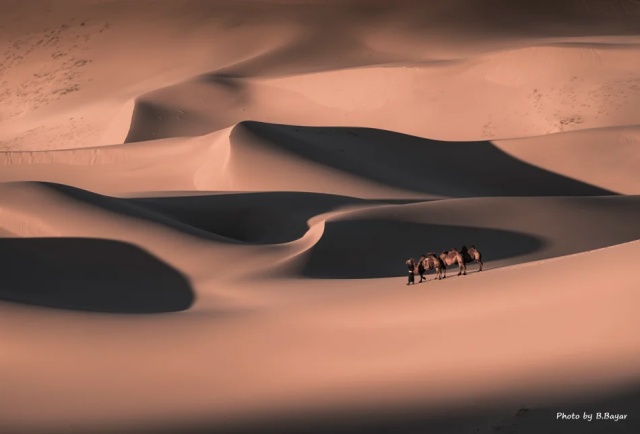 [모코투어] [3박4일] 짧지만 깊은 낭만 몽골 고비 사막 투어 (WAUG Exclusive)