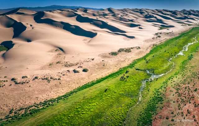 [모코투어] [3박4일] 짧지만 깊은 낭만 몽골 고비 사막 투어 (WAUG Exclusive)