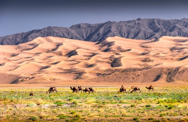 [모코투어] [7박8일] 자유와 감동이 있는 몽골 고비 사막 풀패키지 투어