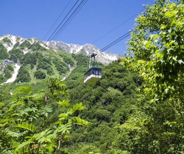 activity_detail_image