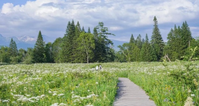 [2박3일] 백두산 & 연변 왕중왕 투어 (북파 + 서파 / 천지 2회, 확률도 2배, 즐거움도 2배)
