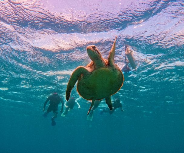 activity_detail_image