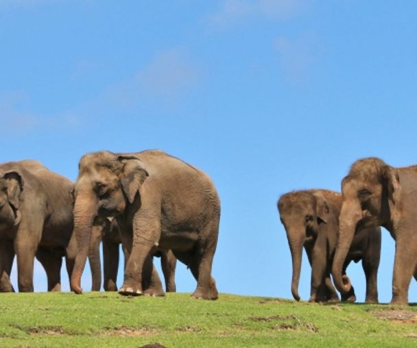 activity_detail_image