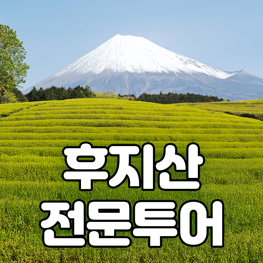 [테라투어] 시즈오카 출발: 후지산 포토스팟 일일 투어 (타누키호수, 시라이토 폭포, 꿈의 대교)