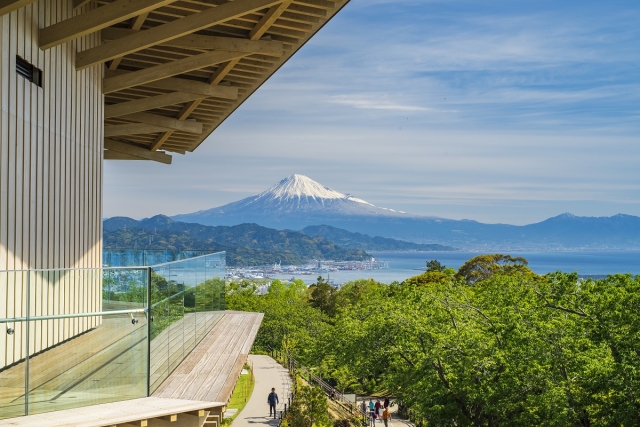 [테라투어] 시즈오카 출발: 후지산 포토스팟 일일 투어 (타누키호수, 시라이토 폭포, 꿈의 대교)
