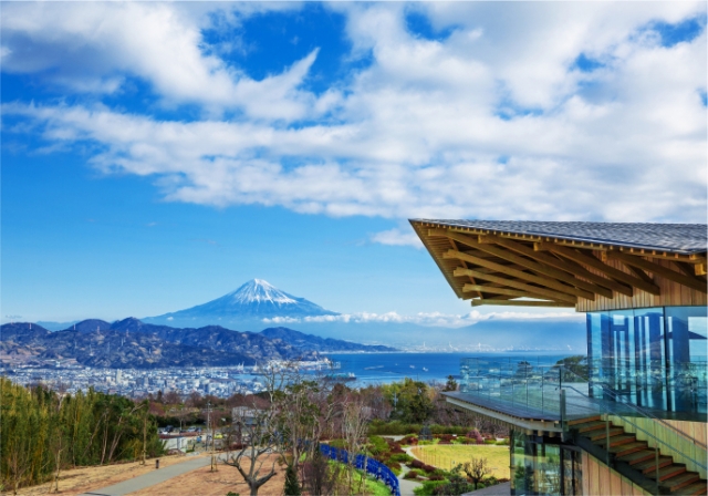 [테라투어] 시즈오카 출발: 후지산 포토스팟 일일 투어 (타누키호수, 시라이토 폭포, 꿈의 대교)