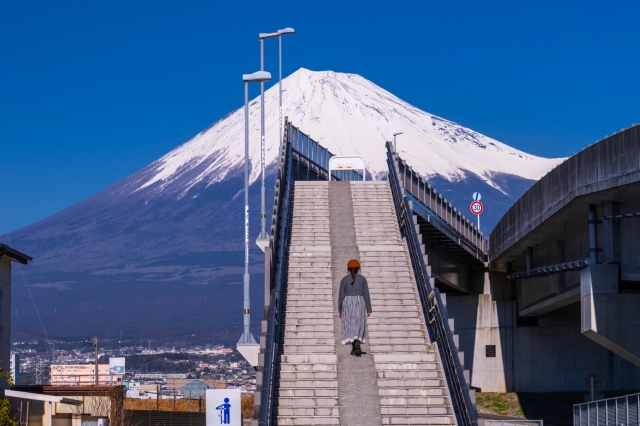 [테라투어] 시즈오카 출발: 후지산 포토스팟 일일 투어 (타누키호수, 시라이토 폭포, 꿈의 대교)