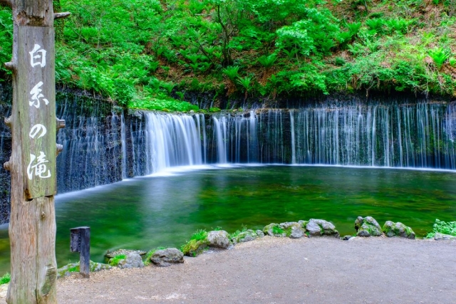 [테라투어] 시즈오카 출발: 후지산 포토스팟 일일 투어 (타누키호수, 시라이토 폭포, 꿈의 대교)