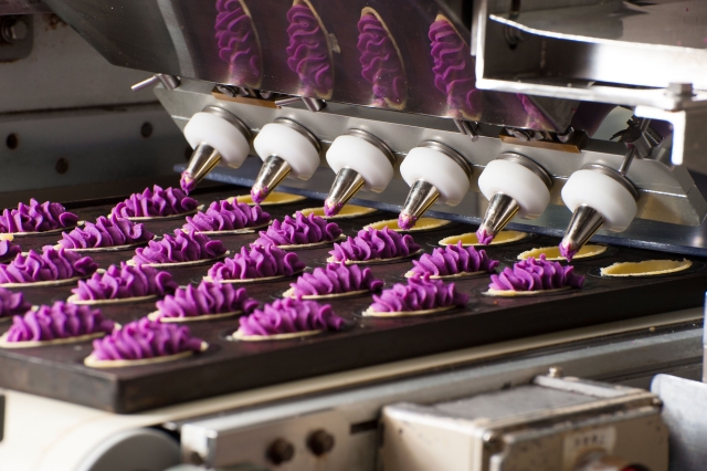 沖縄満喫日帰りツアー（美ら海水族館、ナゴパイナップルパーク、万座毛、古宇利島）