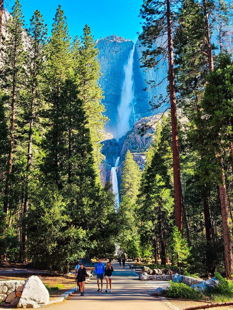 [US캠핑투어] LA 출발: 요세미티 국립공원 하루 만에 보는 인생 사진 투어