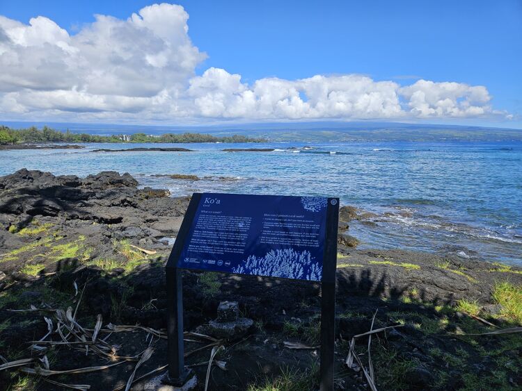 [힐로IN/힐로OUT] 하와이 빅아일랜드 화산 국립공원 집중 탐방 투어 (항공권 선택 가능)