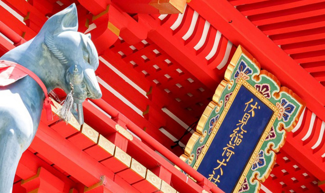 activity_detail_image