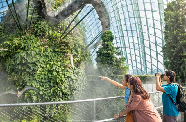 싱가포르 가든스바이더베이 클라우드 포레스트 + 플라워돔 입장권 - 쥬라기 월드: 더 익스피리언스