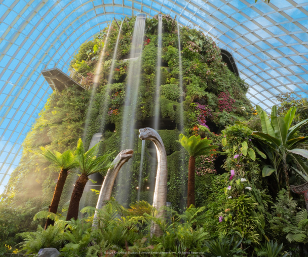 activity_detail_image