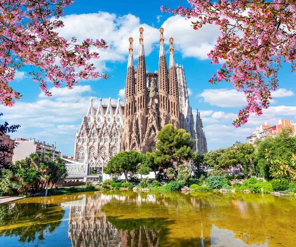 activity_detail_image