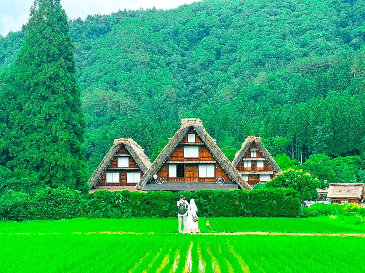 나고야 출발: 시라카와고 & 다카야마 버스 투어