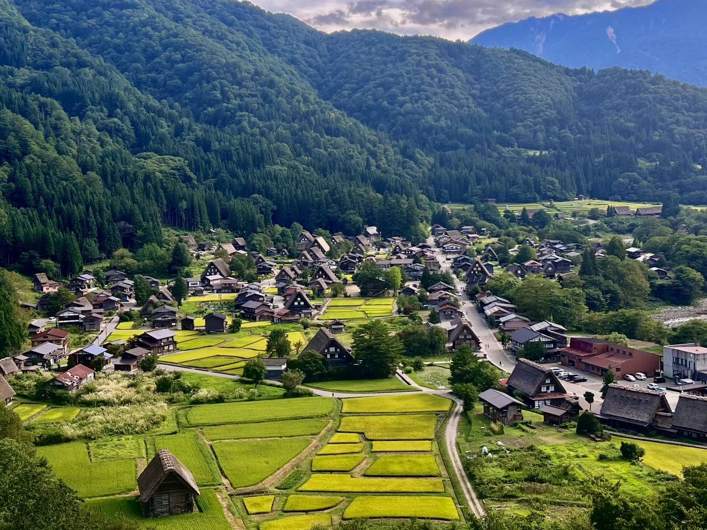 나고야 출발: 시라카와고 & 다카야마 버스 투어