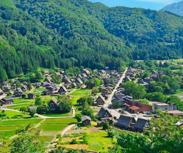 activity_detail_image