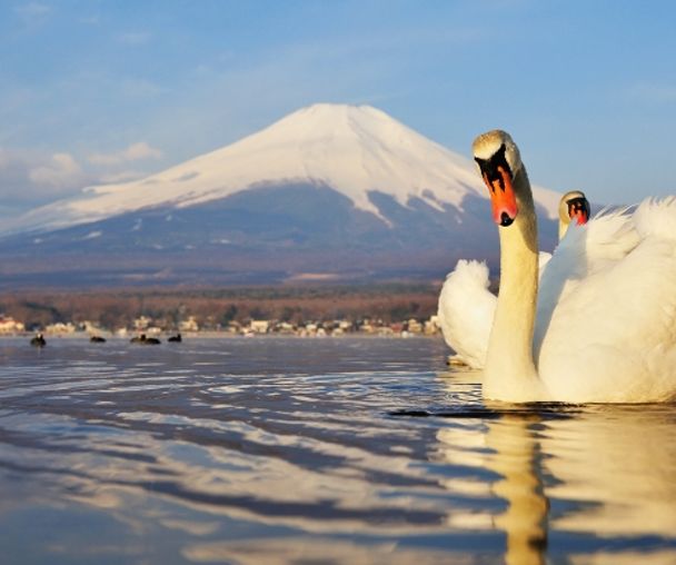 activity_detail_image