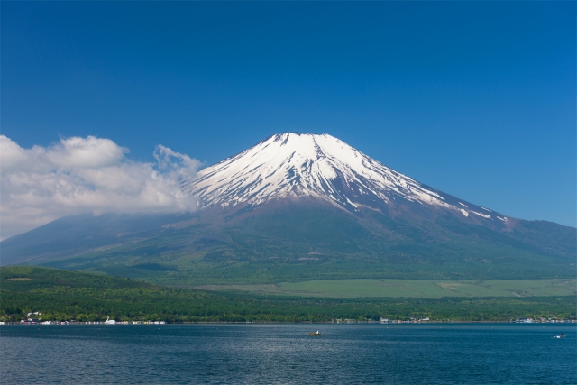 Tokyo: Fuji Day Tour (Hirano Beach, Oishi Park, Oshino Hakkai, Lake Yamanaka)