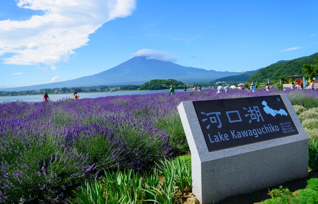 Tokyo: Fuji Day Tour (Hirano Beach, Oishi Park, Oshino Hakkai, Lake Yamanaka)