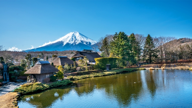 Tokyo: Fuji Day Tour (Hirano Beach, Oishi Park, Oshino Hakkai, Lake Yamanaka)