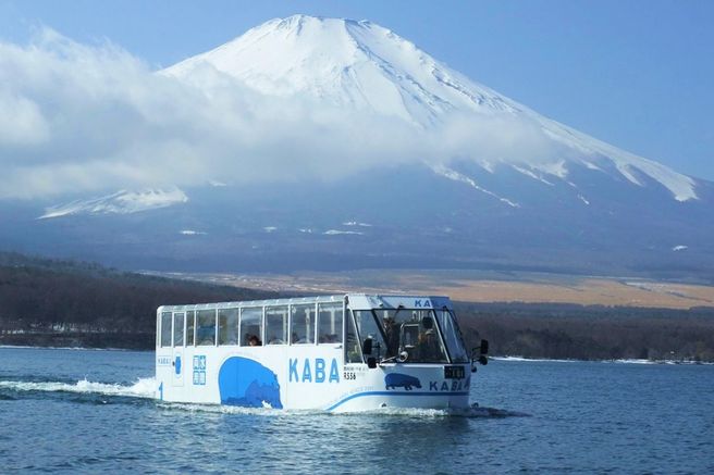 東京発: 富士山日帰りツアー (平野浜、大石公園、忍野八海、山中湖) - WAUG Exclusive