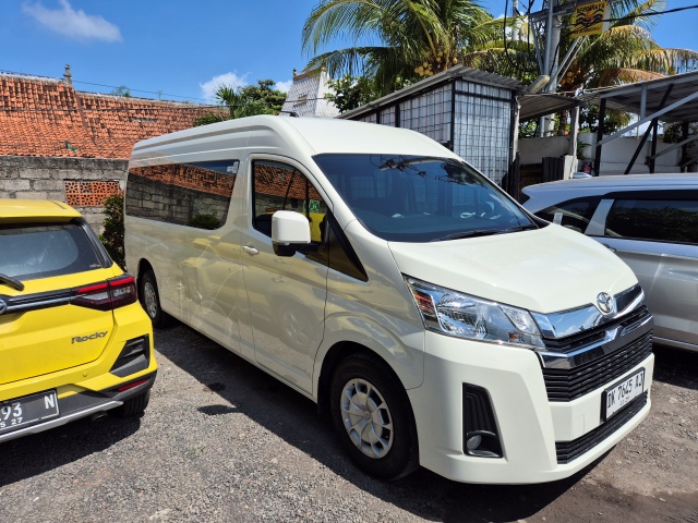 [트립인발리] 발리 프라이빗 렌트카 투어 (대가족 옵션, 기사님 포함, 자유 일정)