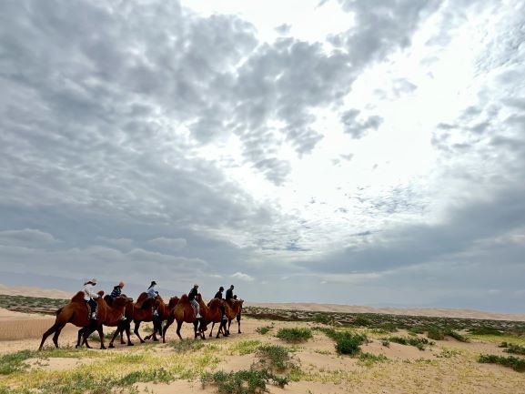 [고비노매드투어] [2박 3일] 바쁜 현대인들 위한 미니 사막 + 테를지 투어