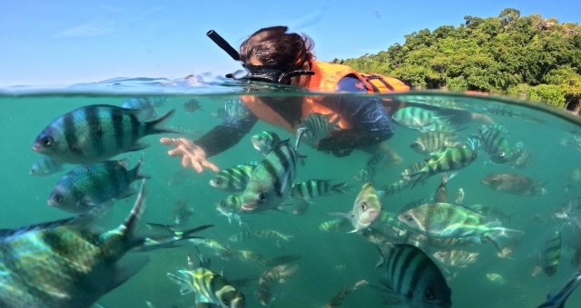 activity_detail_image