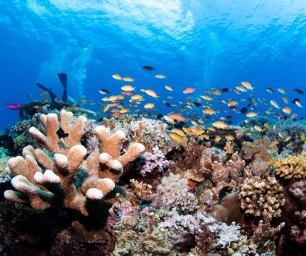 activity_detail_image