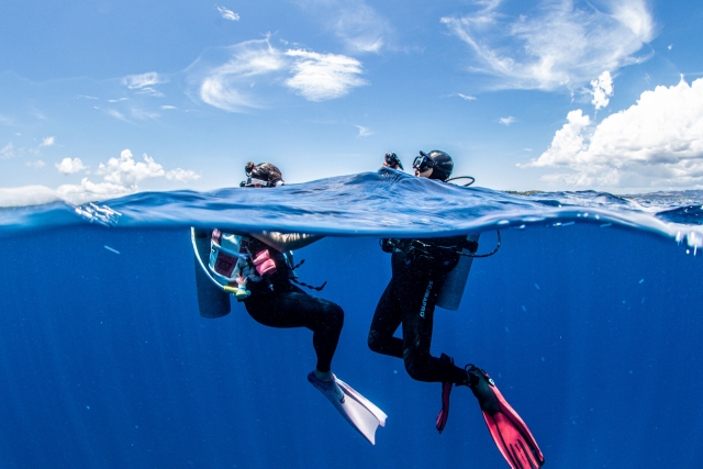 세부 해양스포츠 총집합 (스쿠버다이빙, 씨워커, 씨스쿠터, 패러세일링, 제트스키, 바나나 보트, 워터볼)