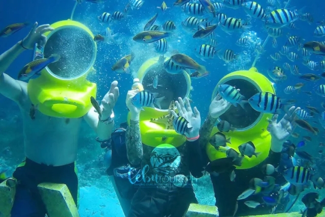 세부 해양스포츠 총집합 (스쿠버다이빙, 씨워커, 씨스쿠터, 패러세일링, 제트스키, 바나나 보트, 워터볼)