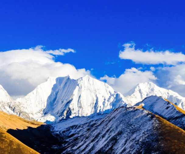 activity_detail_image