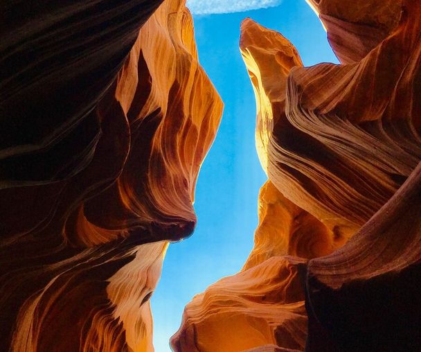 activity_detail_image