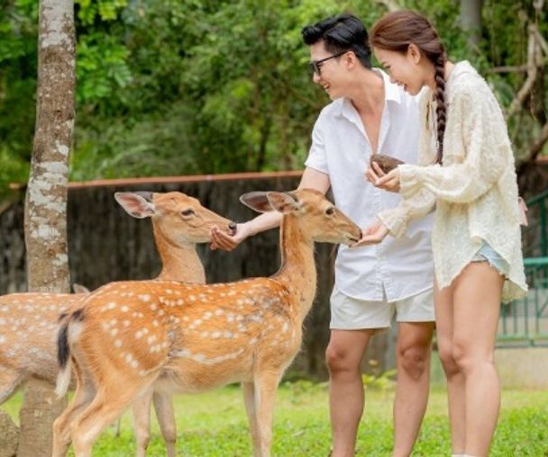 activity_detail_image