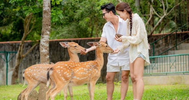 나트랑 양베이 폭포 투어 (악어 농장, 전통 공연, 자연 온천 수영장)