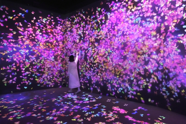 activity_detail_image