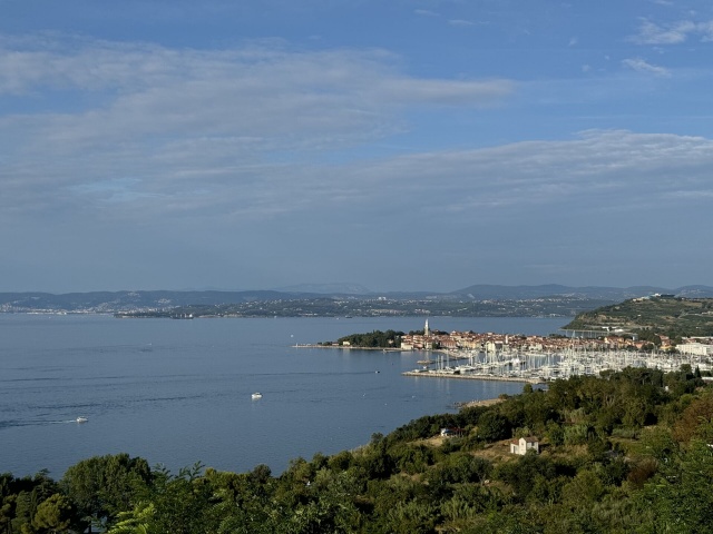 슬로베니아 남부 투어 - 류블랴나 포스토이나, 스코챤, 프레드야마, 피란 투어 (1인 가능)