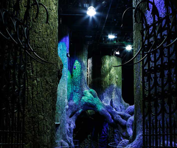 activity_detail_image