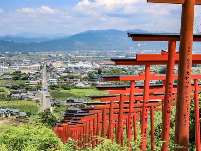 후쿠오카 출발: 큐슈 신사 도장깨기 일일 투어