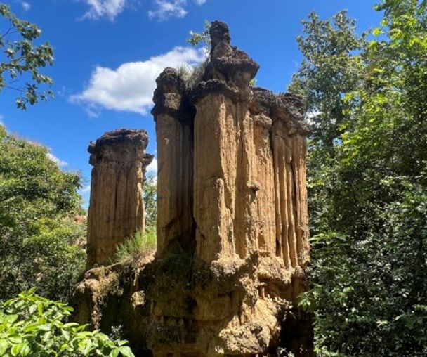 activity_detail_image