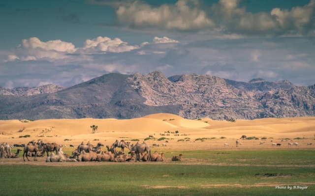 [모코투어] [4박5일] 미니 사막 초원 투어