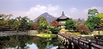 Seoul: Gyeongbokgung & Insa-dong Gastroventure Day Tour (Palace Guard Change, Kimchi Making, Tea Museum)