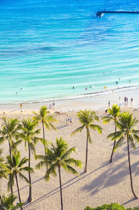 [여행한그릇] 하와이 호놀룰루 버스 투어 (무료 사진 촬영)